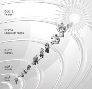 Reincarnation Hierarchy