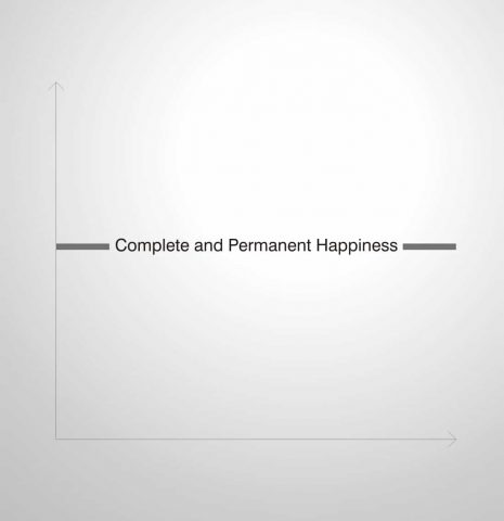 Happy Graph with Permanent Line