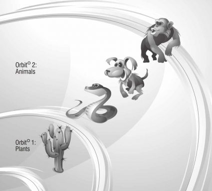 Reincarnation Hierarchy